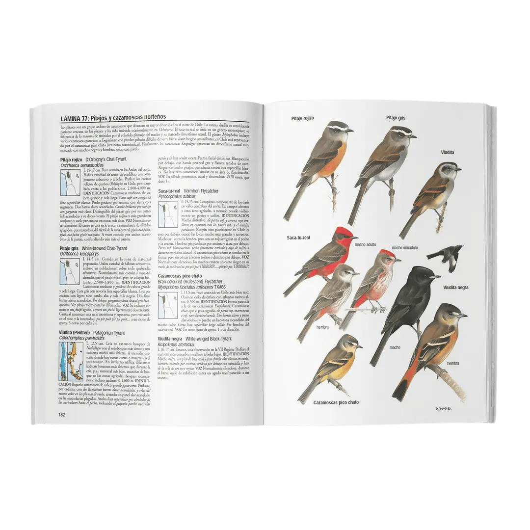 Aves de Chile
