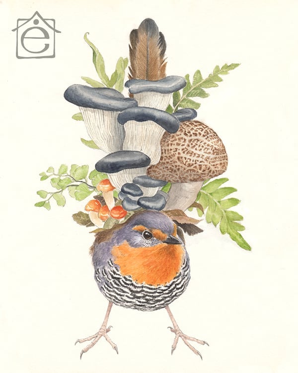 Prints ilustraciones Elviscelanius