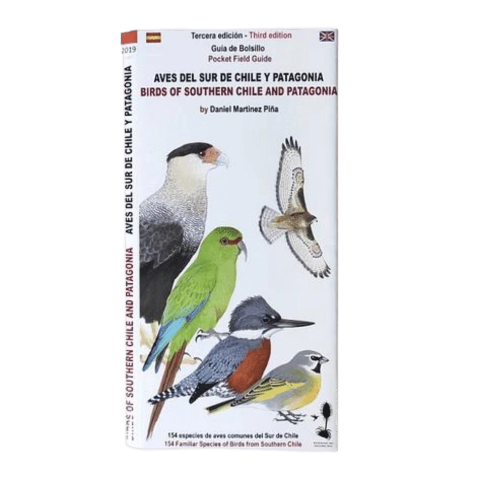 Aves del sur de Chile y Patagonia (guía de bolsillo)