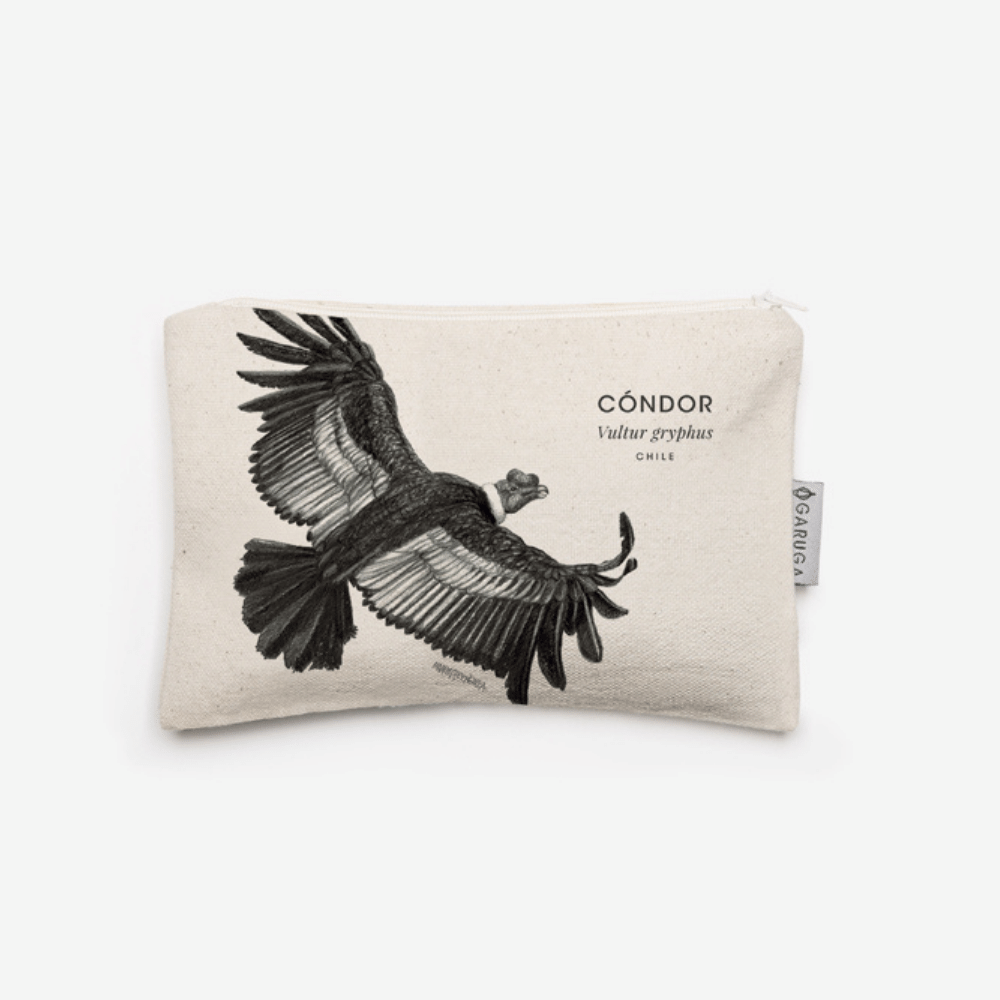 Estuche