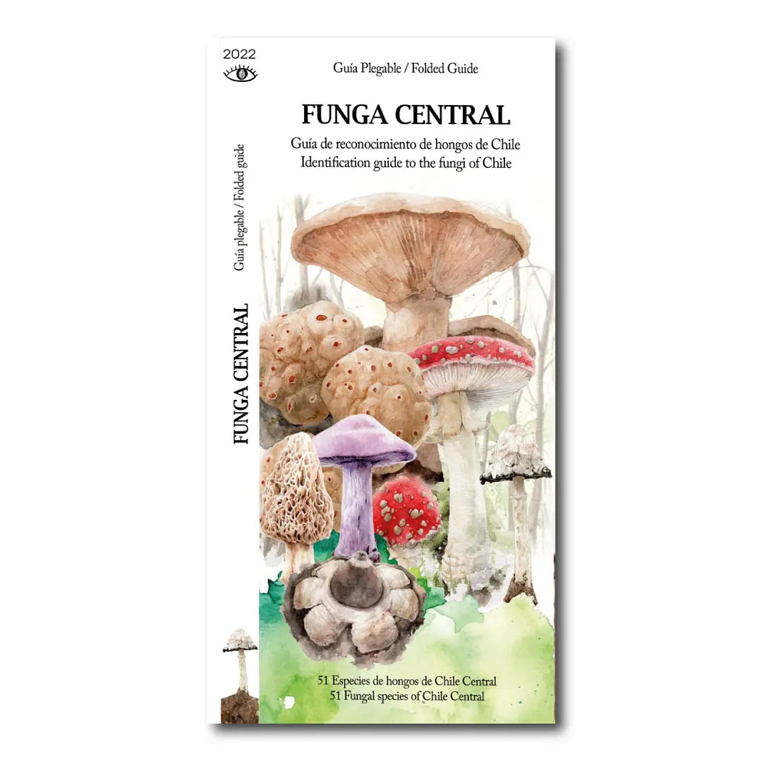 Funga central (guía de bolsillo)