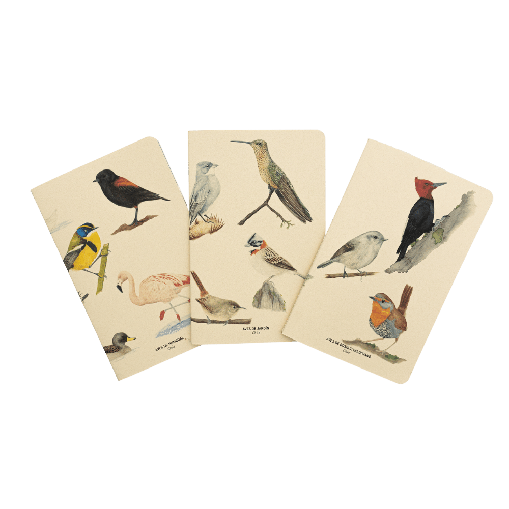 Libreta de notas Aves de Chile