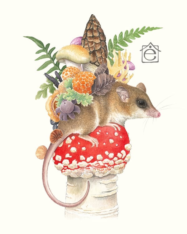 Prints ilustraciones Elviscelanius