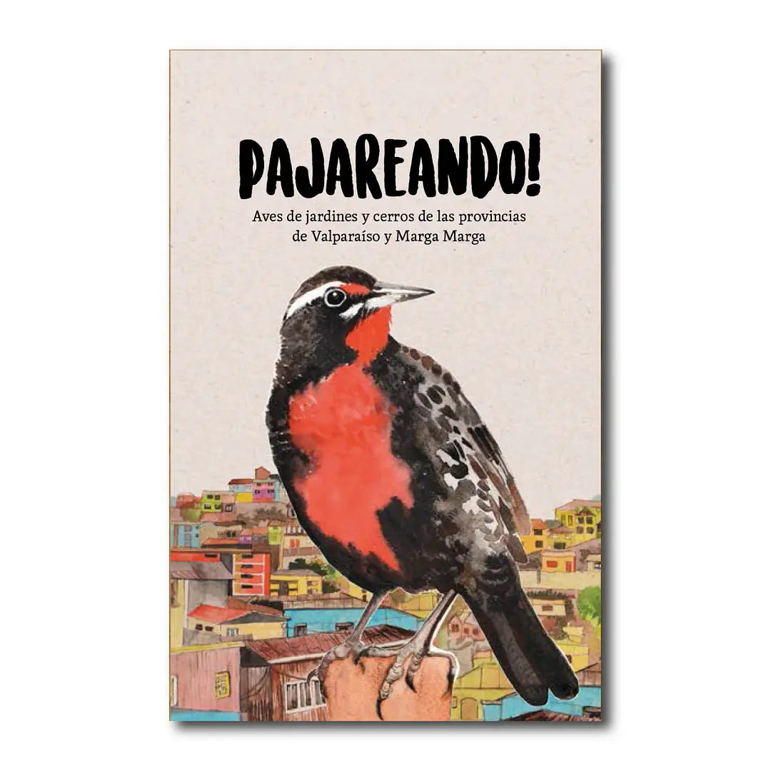 Pajareando!
