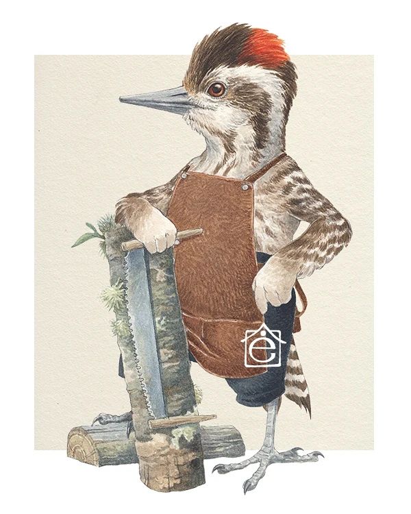 Prints ilustraciones Elviscelanius