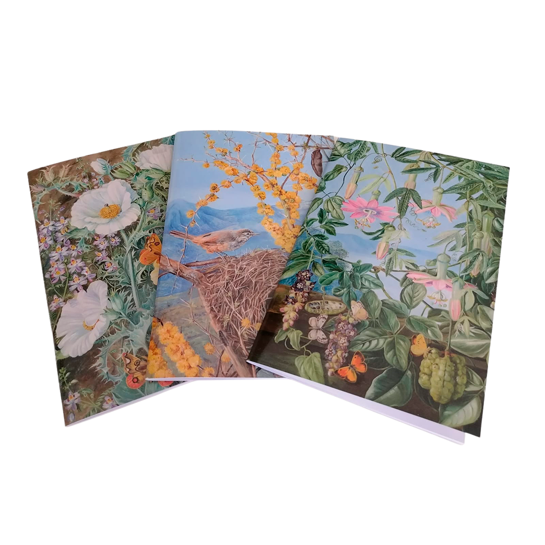 Set de 3 libretas Marianne North