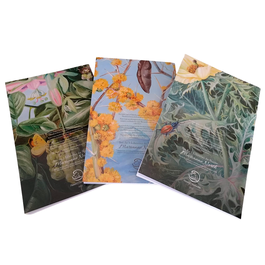 Set de 3 libretas Marianne North