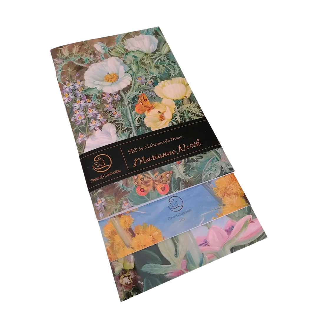 Set de 3 libretas Marianne North