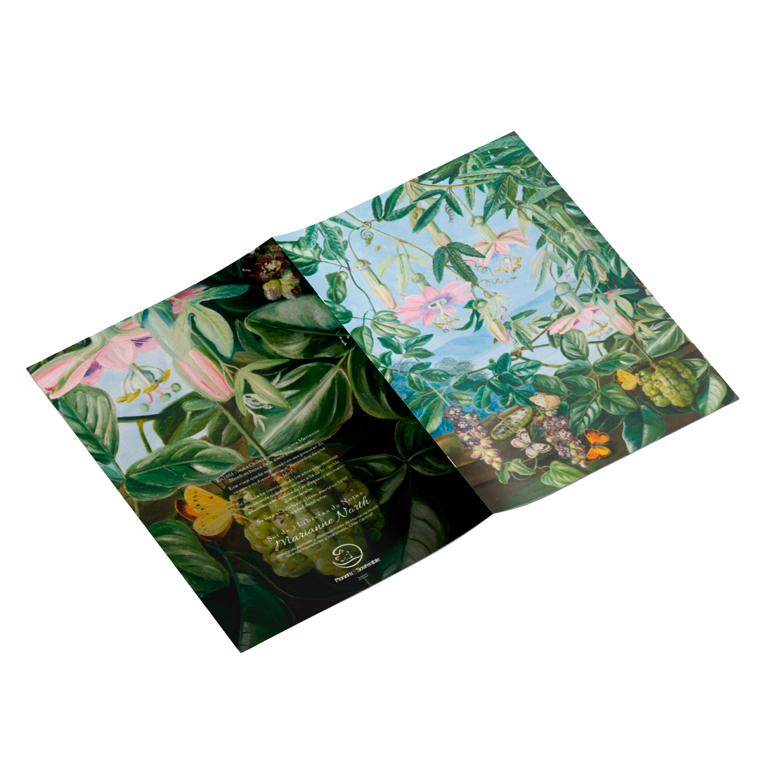 Set de 3 libretas Marianne North